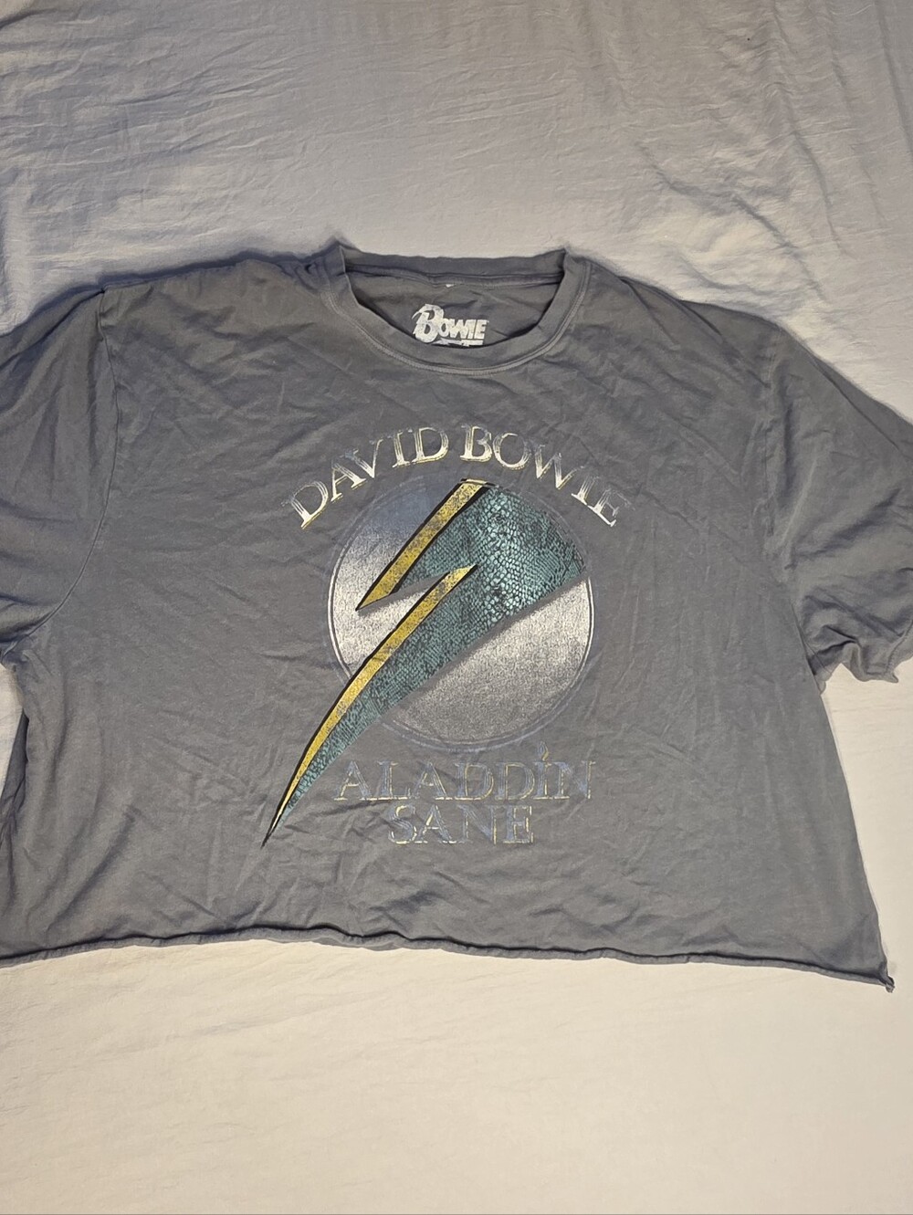 David Bowie Oversized Cropped Aladdin Sane T Shirt